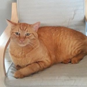 Meet your Posher, Skeeter